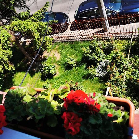 דירות קלוז'-נאפוקה Apartament Hunter מראה חיצוני תמונה