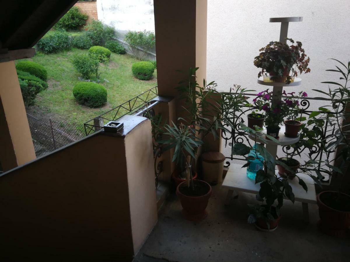 דירות קלוז'-נאפוקה Apartament Hunter מראה חיצוני תמונה