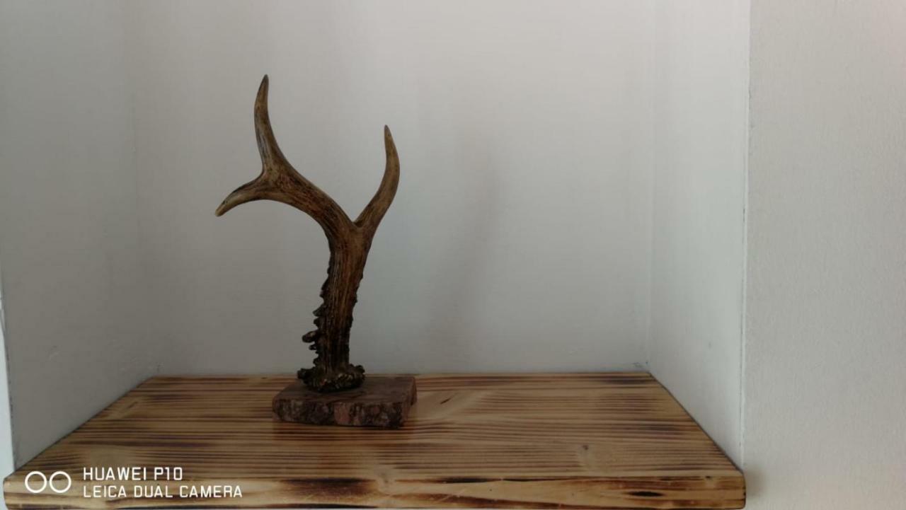 דירות קלוז'-נאפוקה Apartament Hunter מראה חיצוני תמונה