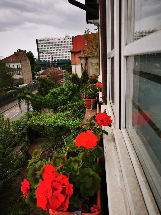 דירות קלוז'-נאפוקה Apartament Hunter מראה חיצוני תמונה